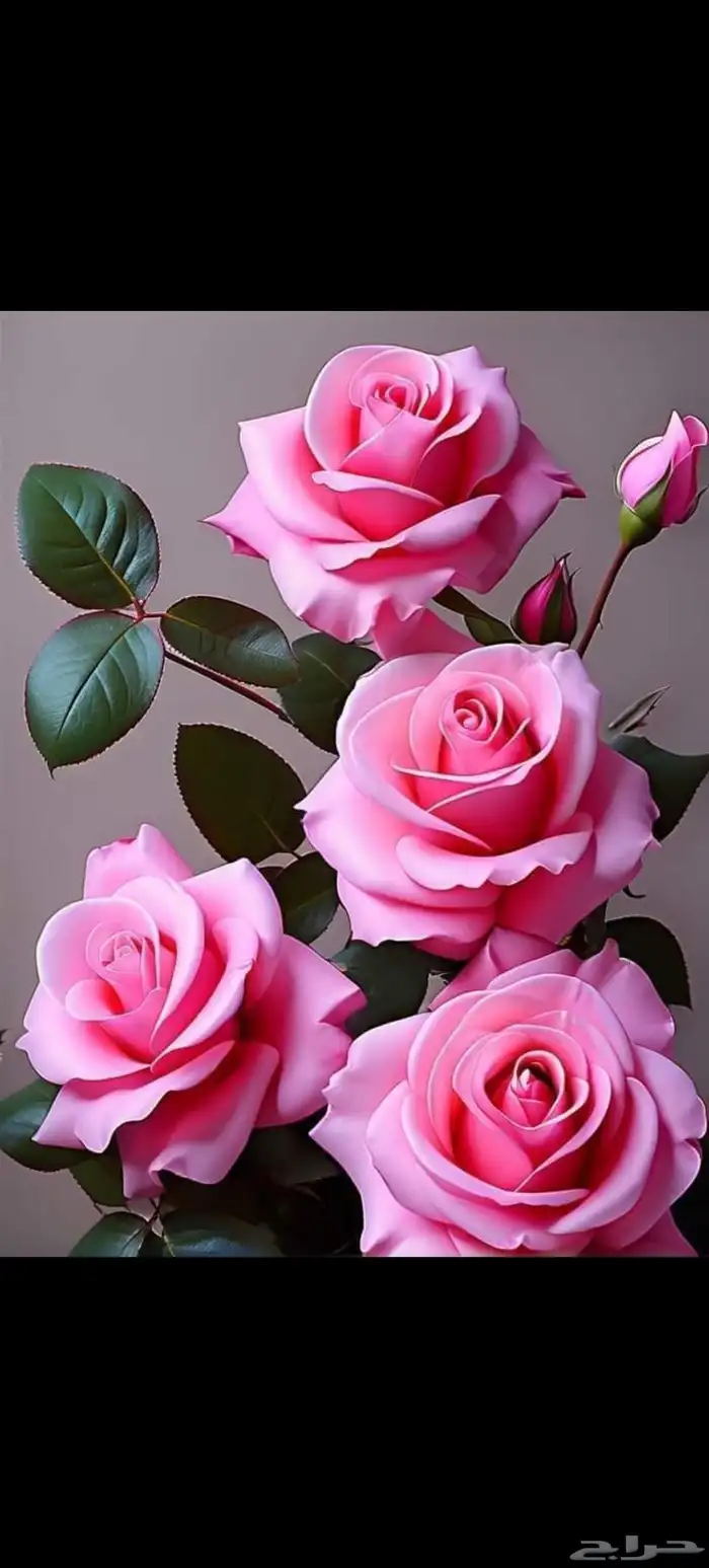 مقاول ديكور وترميم 0