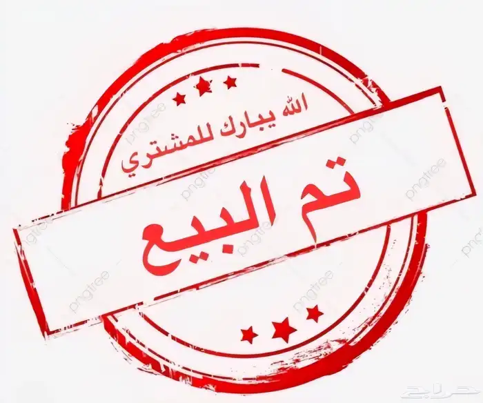 زوج حمام رقاصي لون ابيض 0