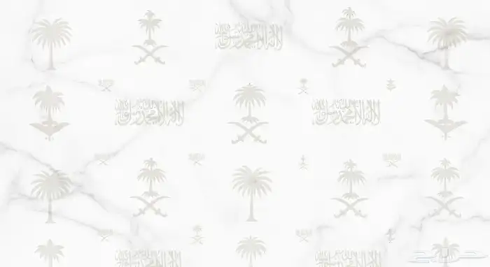 انشاء موقع الكتروني بسعرر 100 ريال 0