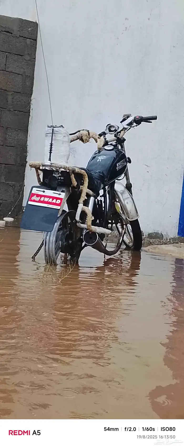 دباب زلزال موديل 2015 3