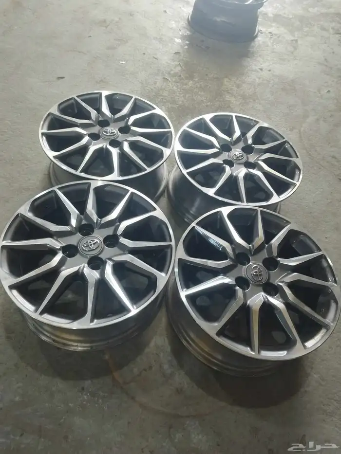 جنوط يارس 15 2024 1