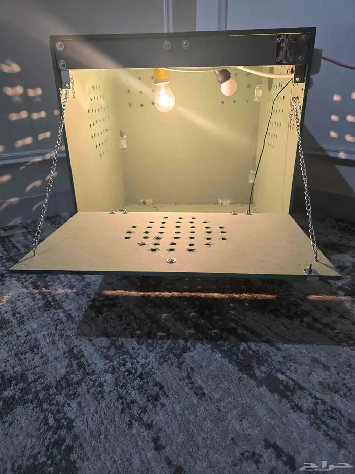 حضانة فروخ ( كاسكو كنيور روز بادجي كروان وغيرها تماتيك 3