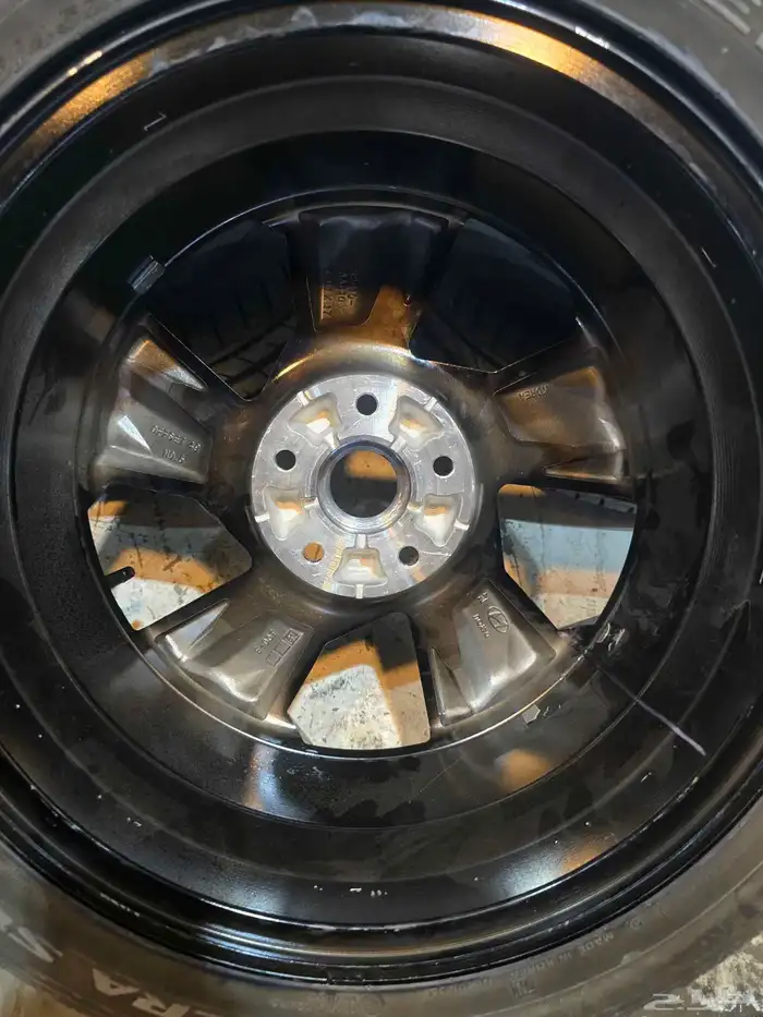 جنوط النترا 2023 اصلي وكاله حقت الفل 7