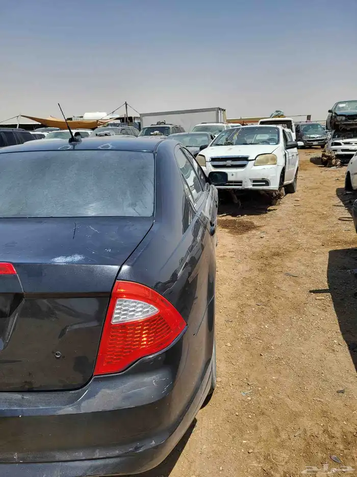 افيوجن 2012 2