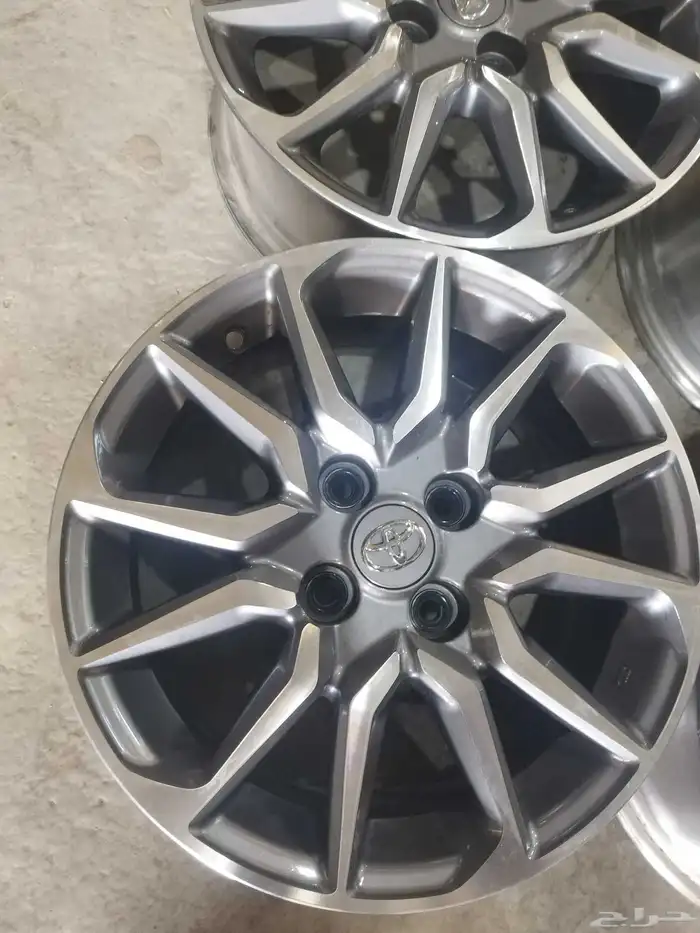 جنوط يارس 15 2024 4