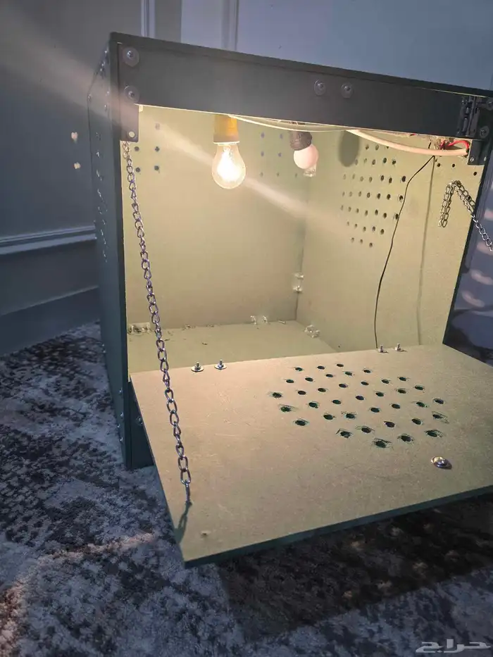 حضانة فروخ ( كاسكو كنيور روز بادجي كروان وغيرها تماتيك 1