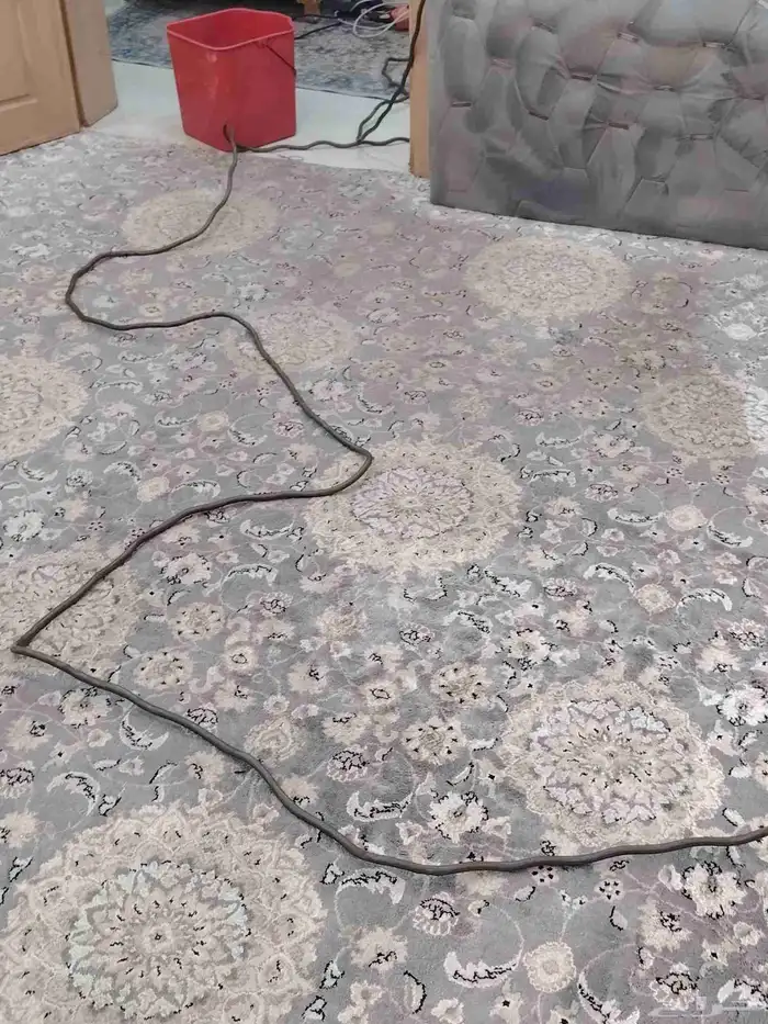 تنظيف مجالس تنظيف سجاد تنظيف البيت مكافحة حشرات 6