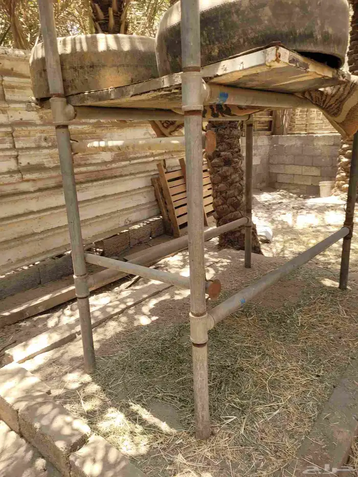 محلب ابقار للبيع 1