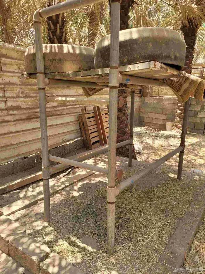 محلب ابقار للبيع 2