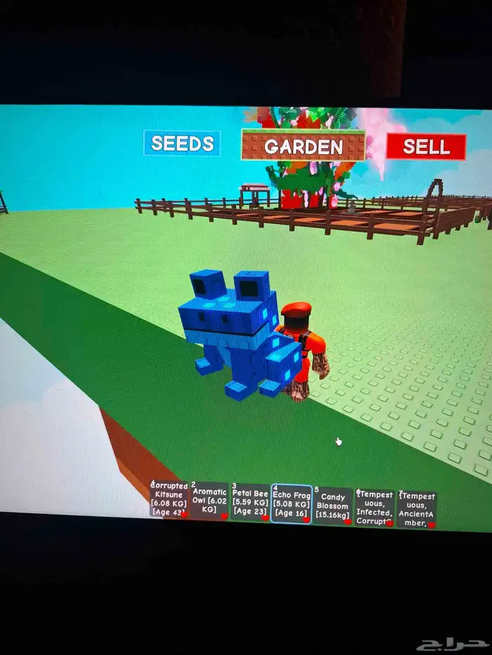 حيوكتسيني سعره300 سعر مومه 200 سعرنحل ورديه 150 سعرطفطع100 3