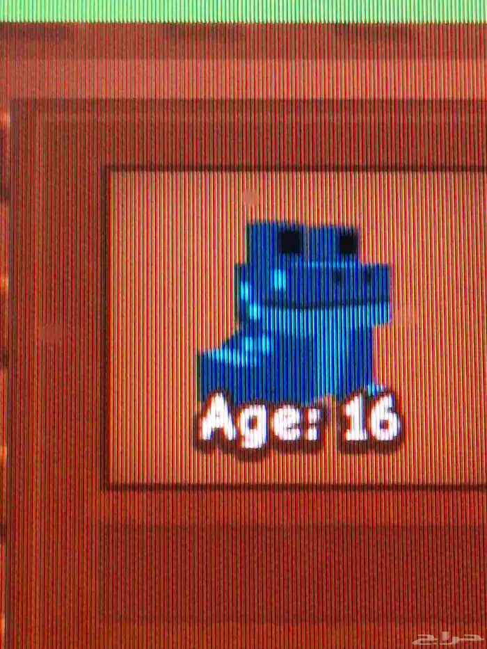 حيوكتسيني سعره300 سعر مومه 200 سعرنحل ورديه 150 سعرطفطع100 8