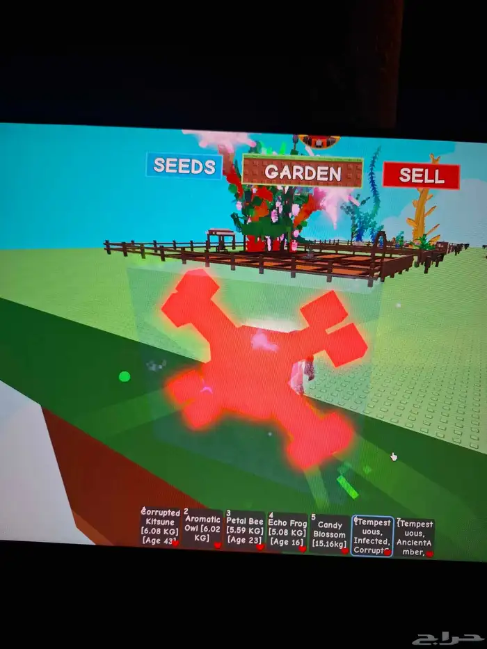 حيوكتسيني سعره300 سعر مومه 200 سعرنحل ورديه 150 سعرطفطع100 5