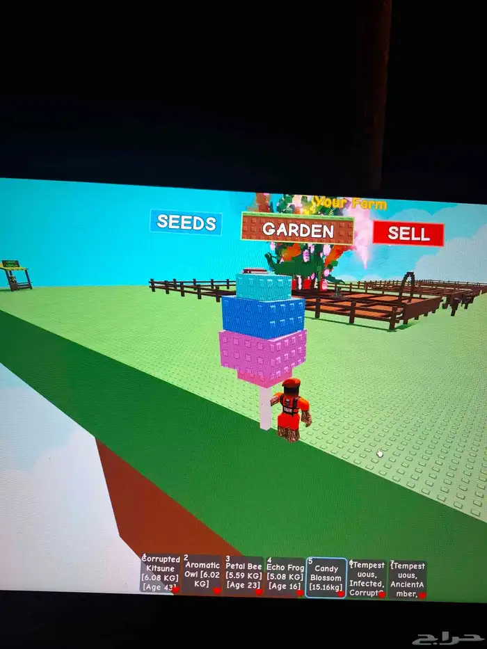 حيوكتسيني سعره300 سعر مومه 200 سعرنحل ورديه 150 سعرطفطع100 4