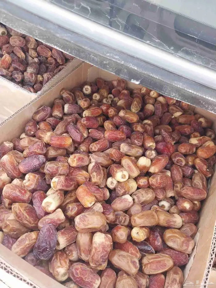 يوجد لدينا جميع انواع التمور مشكلات خلاص وبرحي 2