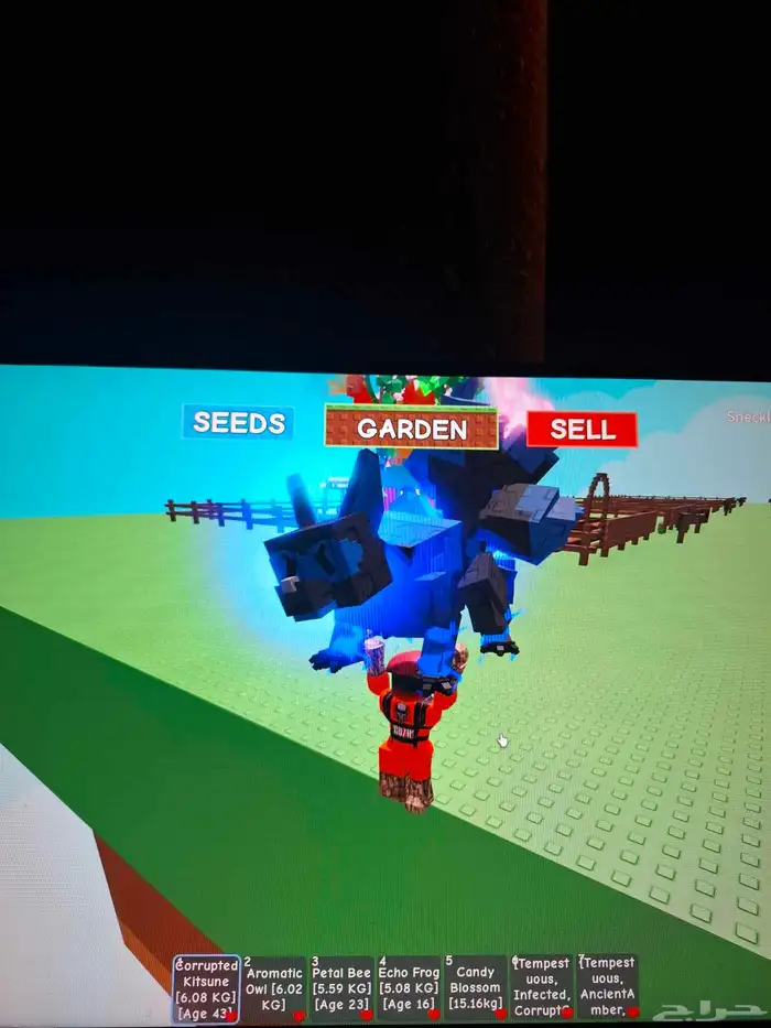 حيوكتسيني سعره300 سعر مومه 200 سعرنحل ورديه 150 سعرطفطع100 0