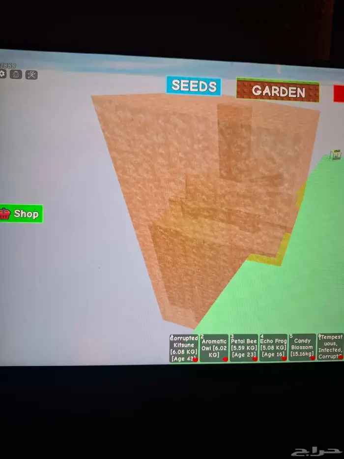 حيوكتسيني سعره300 سعر مومه 200 سعرنحل ورديه 150 سعرطفطع100 7