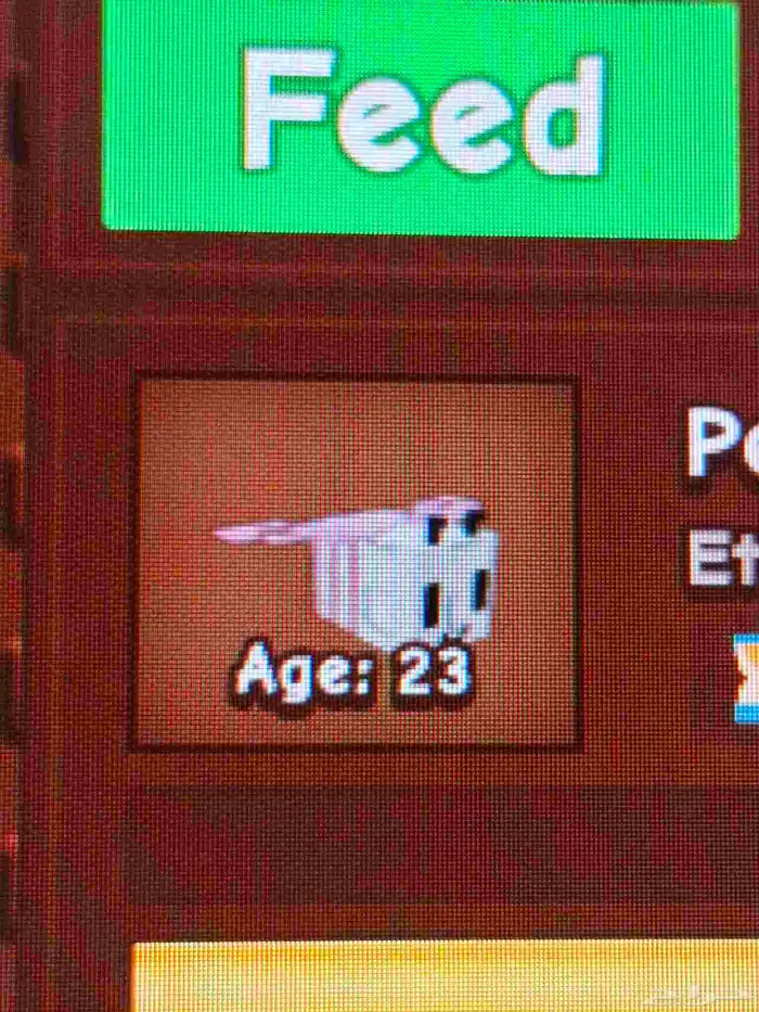 حيوكتسيني سعره300 سعر مومه 200 سعرنحل ورديه 150 سعرطفطع100 9