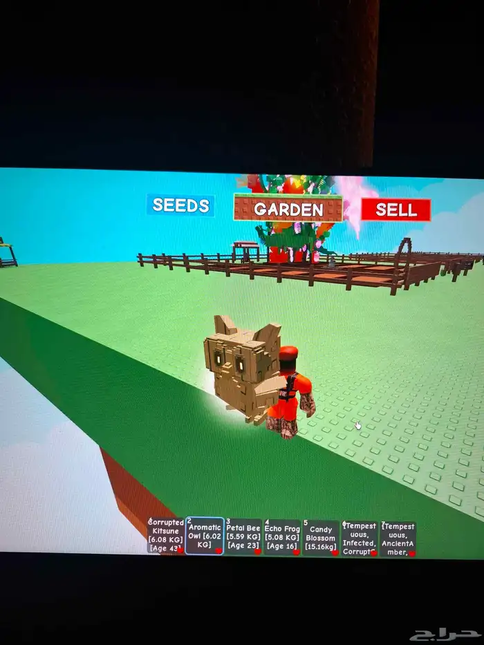 حيوكتسيني سعره300 سعر مومه 200 سعرنحل ورديه 150 سعرطفطع100 1