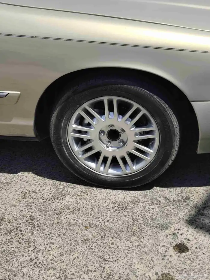 جنوط ماركيز لمتد 0