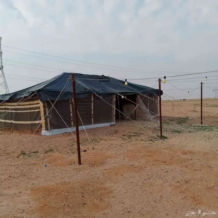 تركيب الخيام وبيوت الشعر بحفر الباطن 2