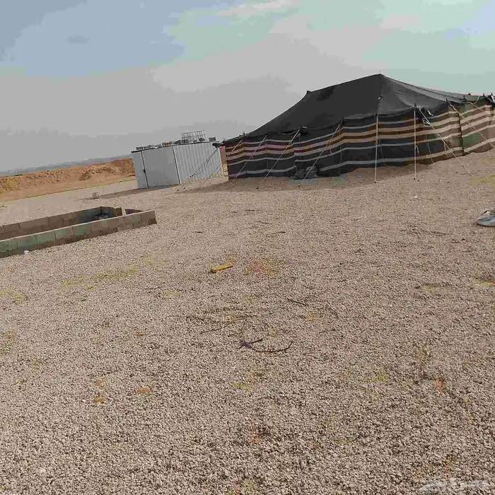 تركيب الخيام وبيوت الشعر بحفر الباطن 4