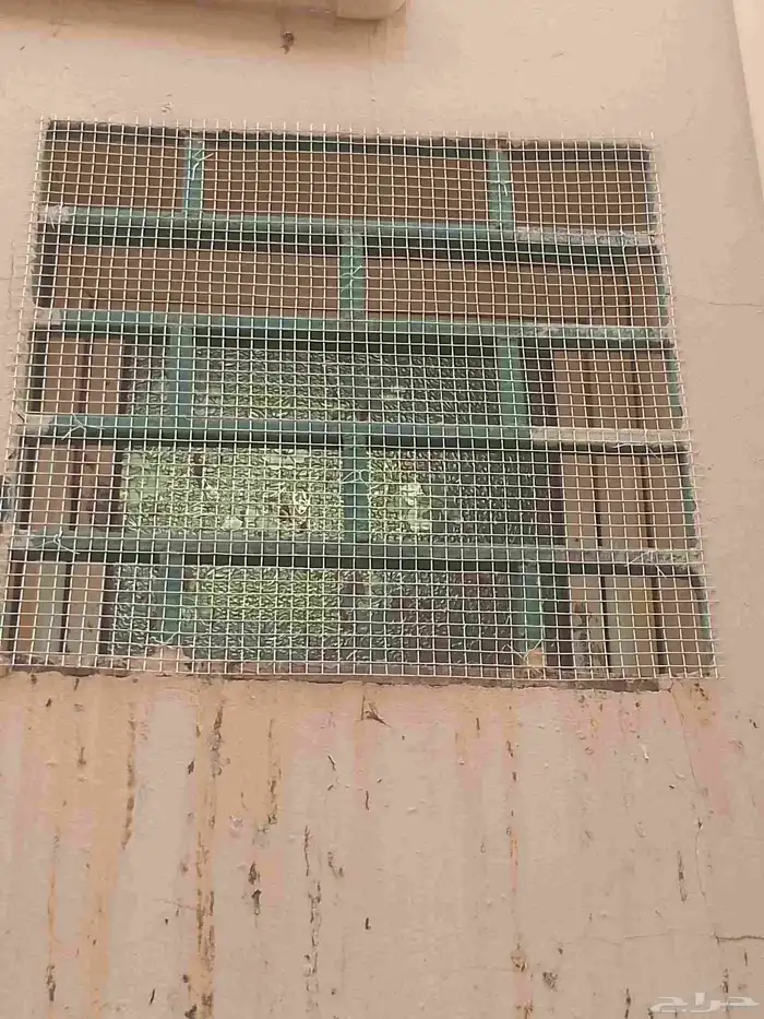 طاردوالحمام تركيب شبابيك شوك 3