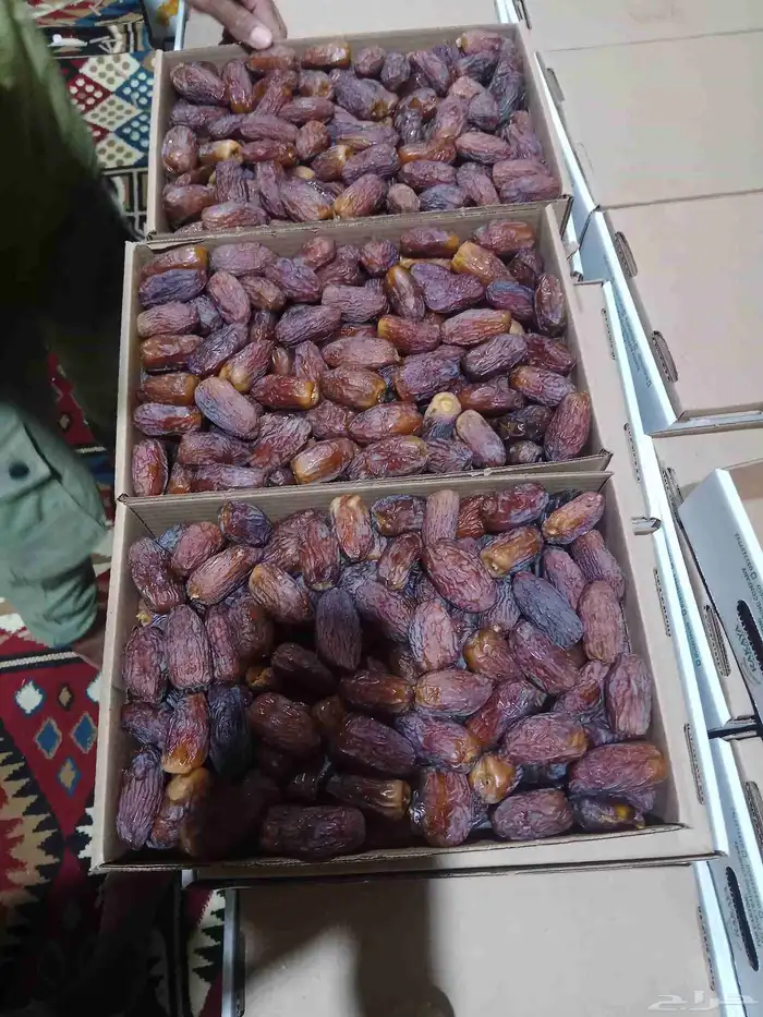 تمر مجدول 0
