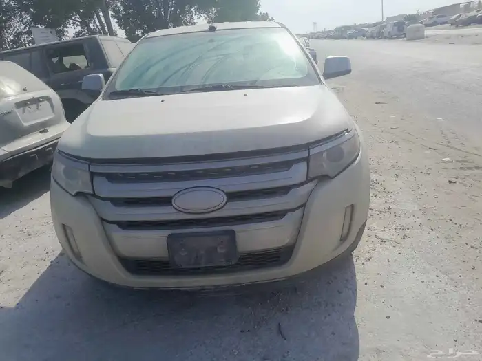 فرد ايدج مديل2013 1