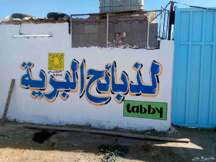 خطاط ورسام جداريات وكافه الإعلانات واللوحات الفنية والإرشادي 4