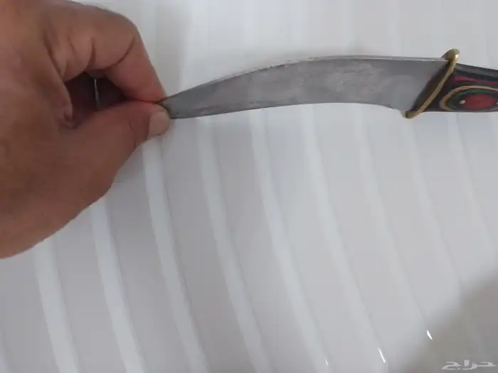 شفره خوجه حاده للبيع 5