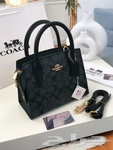 يوجد لدنيا جميع انواع الشنط جمله وقطاعي 3