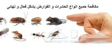 شركة تنظيف منازل مع التعقيم تنظيف كنب وسجاد رش صراصير 4