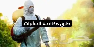 شركة تنظيف منازل مع التعقيم تنظيف كنب وسجاد رش صراصير 1