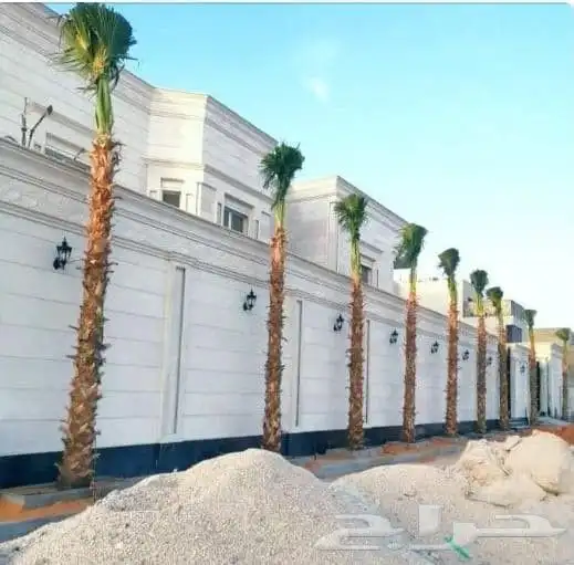 نقوم بتوريد جميع انواع النخيل 4