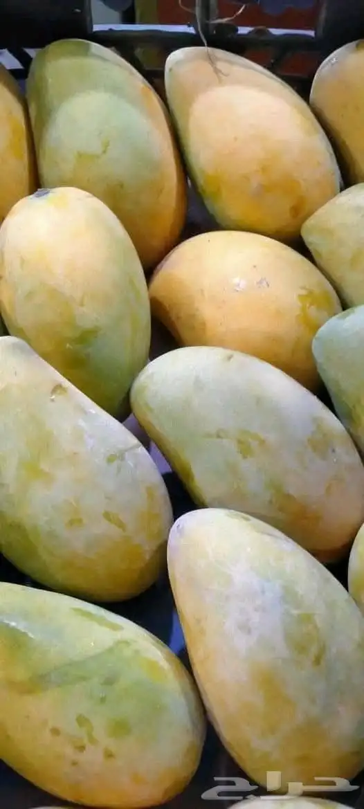 طلبات بيتك عندنا بإذن الله 5