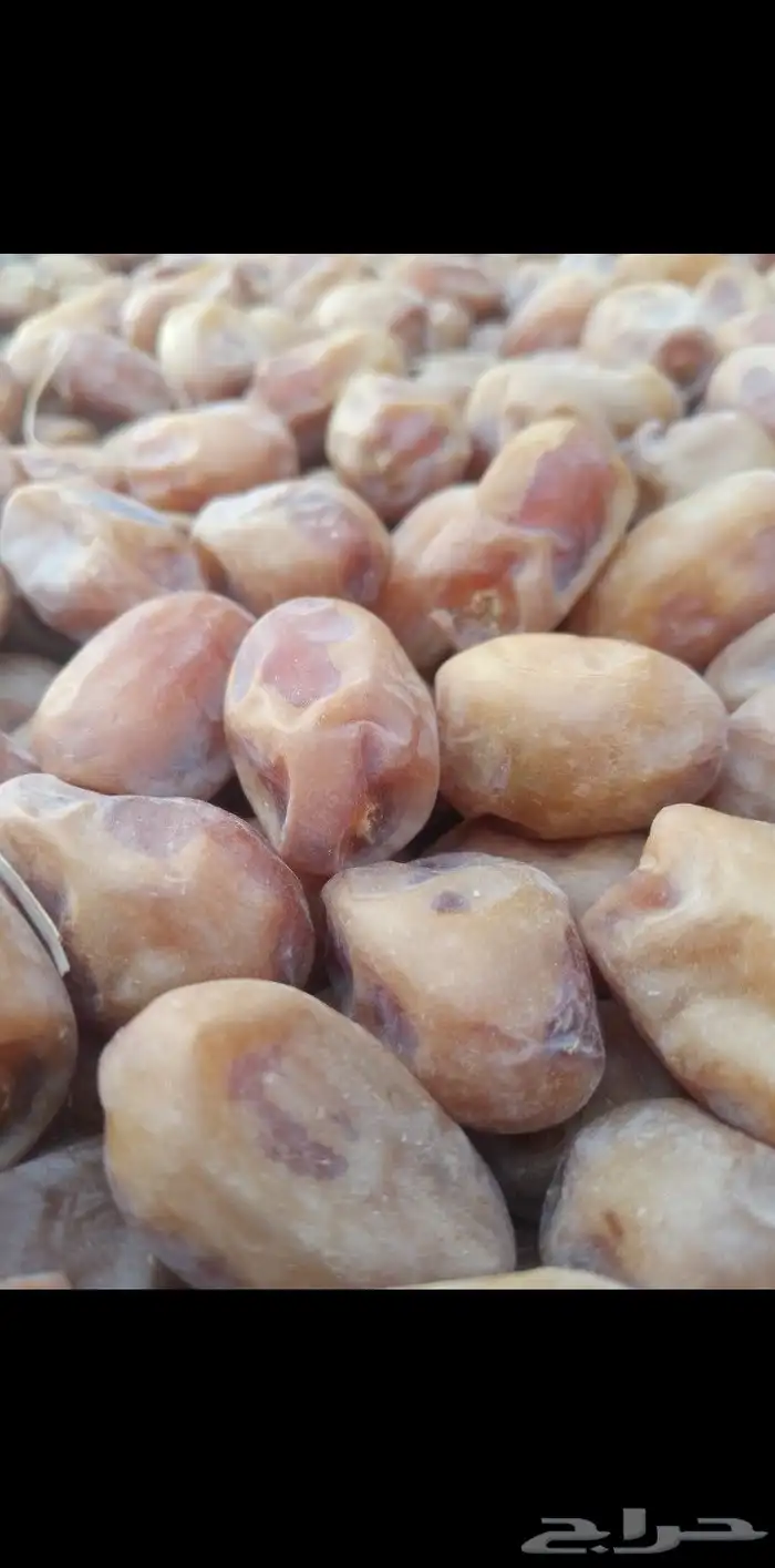 يوجد لدينا تمور فاخره للبيع اخلاص 1
