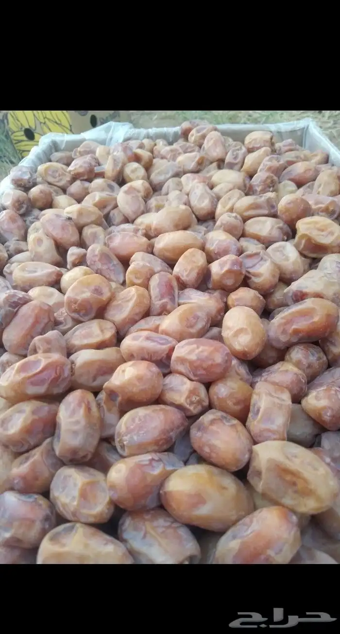 يوجد لدينا تمور فاخره للبيع اخلاص 8