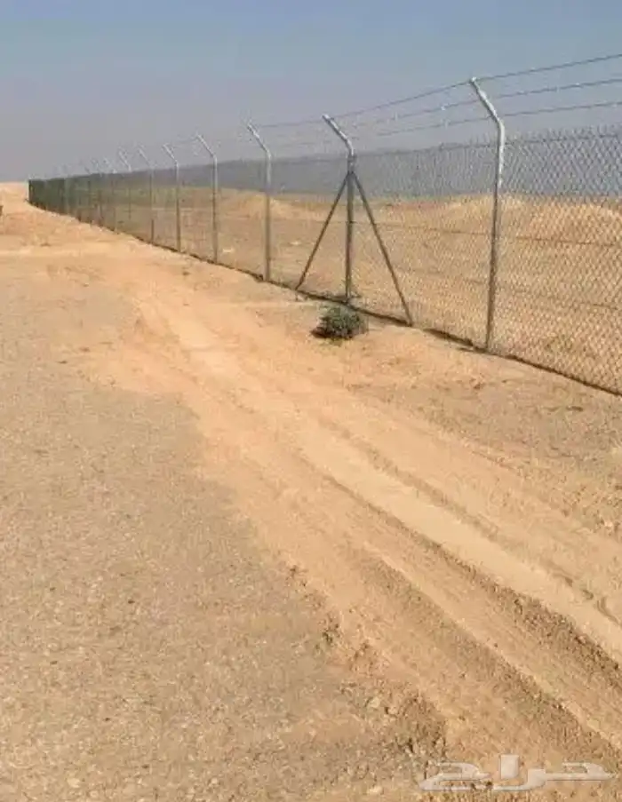 لشبوك 0