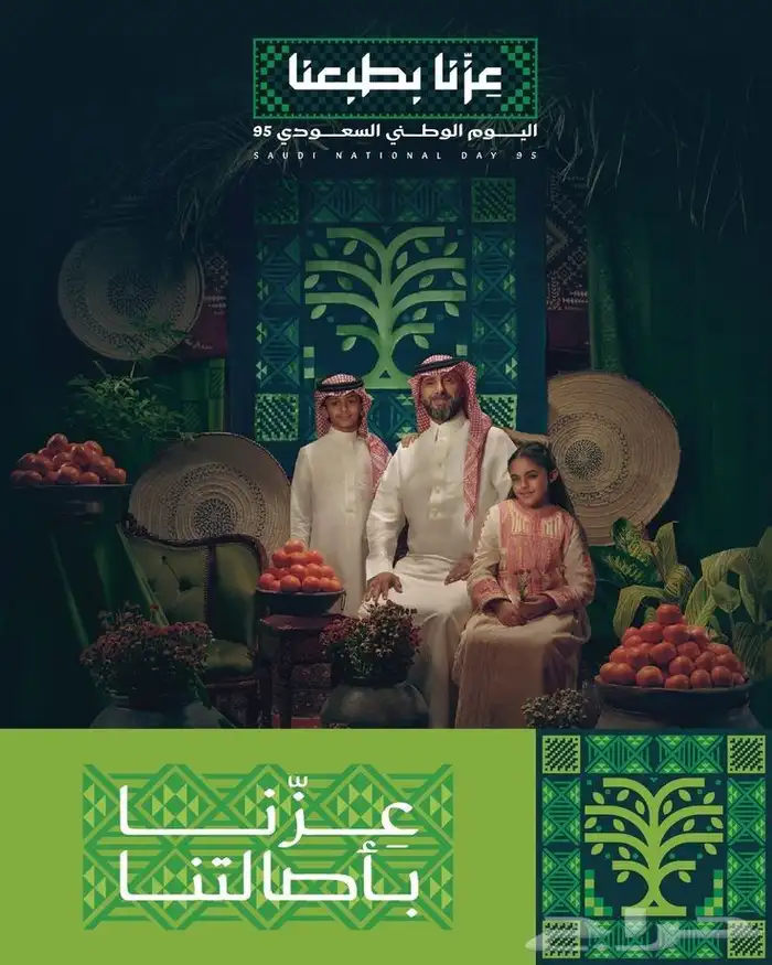 اليوم الوطني 95 13