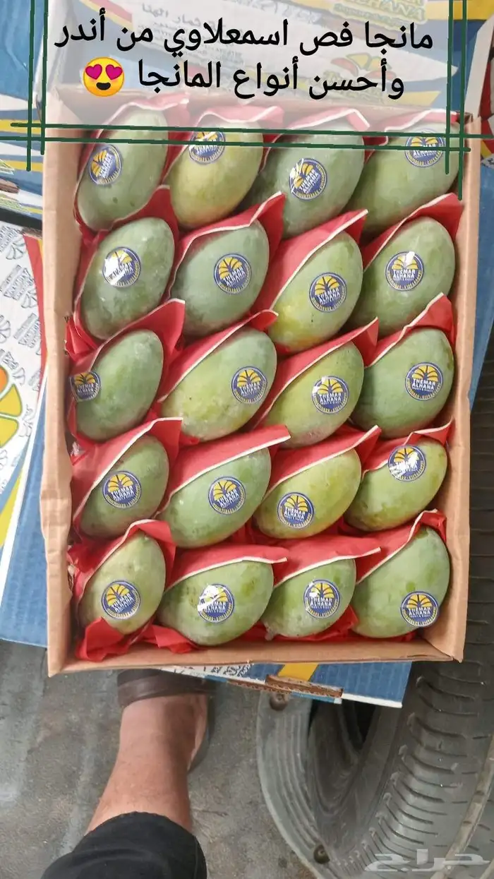 طلبات بيتك عندنا بإذن الله 7