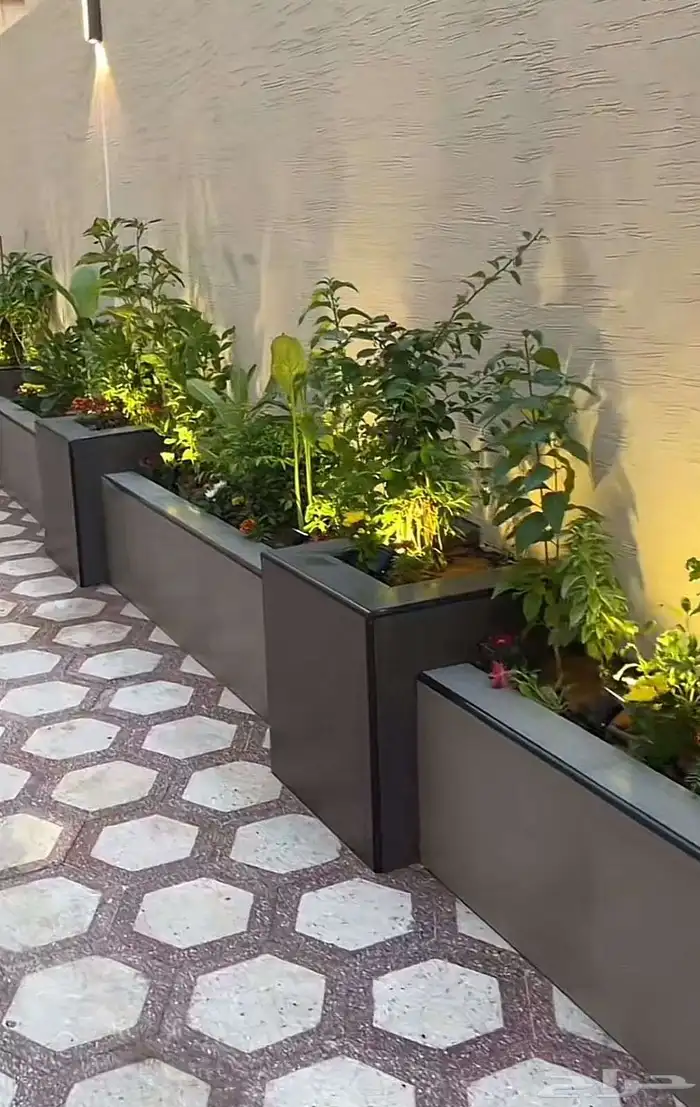 تنسيق حدائق 2