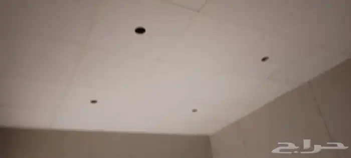 60  60 بلاص مستعار 2