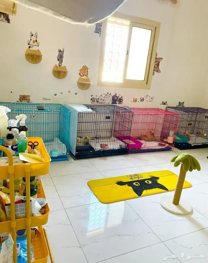 فندقة قطط وكلاب صغيرة في الاحساء 0