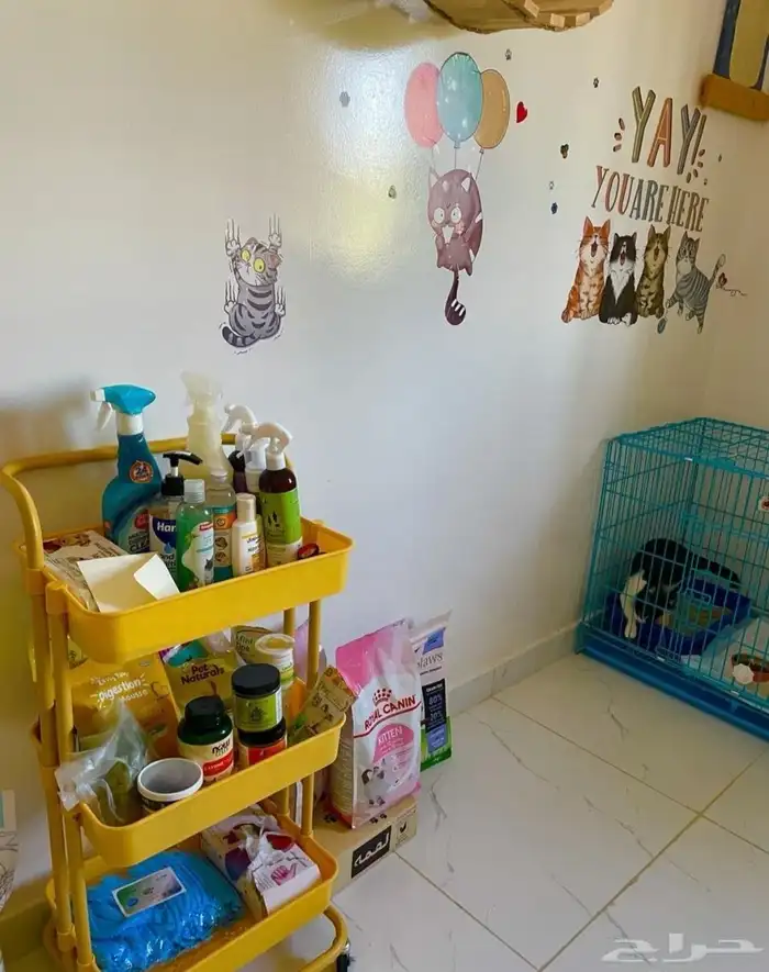 فندقة قطط وكلاب صغيرة في الاحساء 3