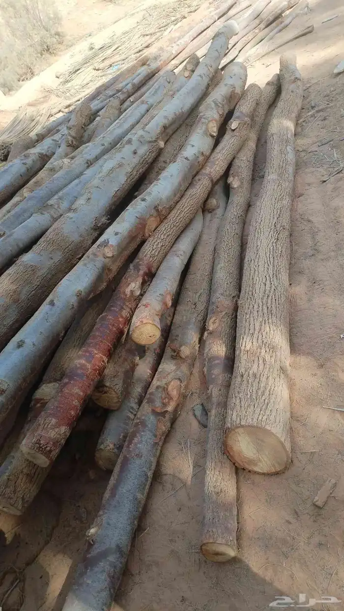 تنفيذ أعمال التراث الشعبي 7
