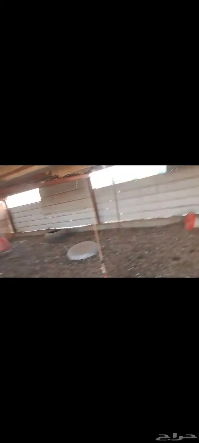 حديد شبوك وكمرات وهناقر نضيفه وتيوبات 2