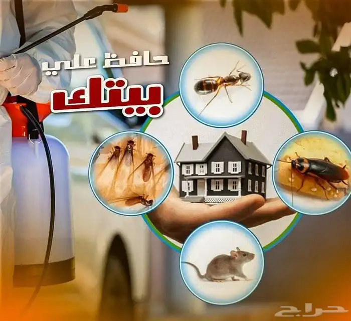شركة مكافحة حشرات بمكه  رش حشرات بمكه 6