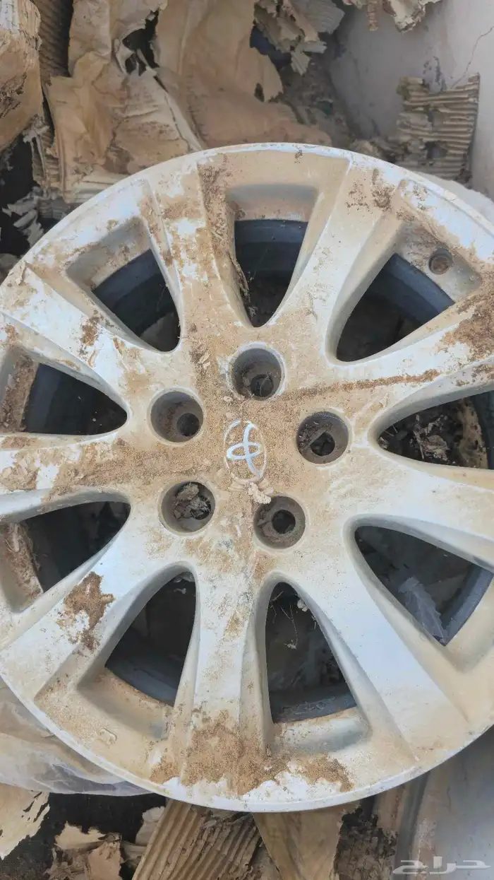 جنوط اوريون 2009 1