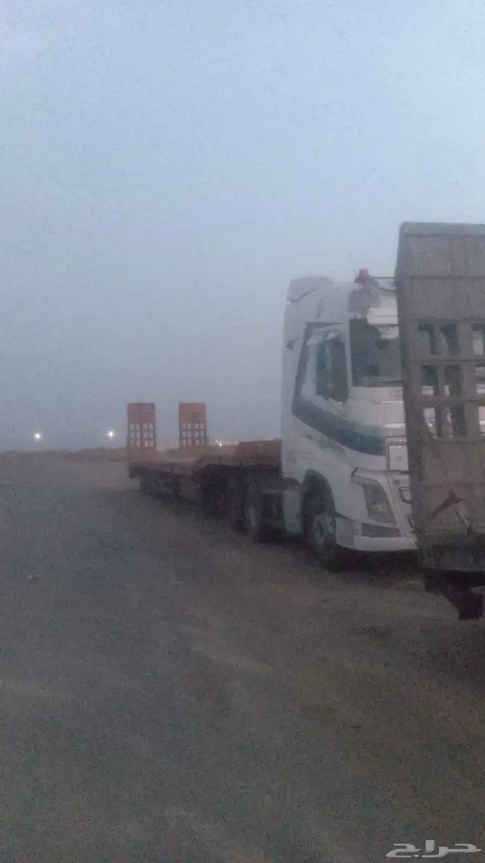 لوبد في الرياض 0