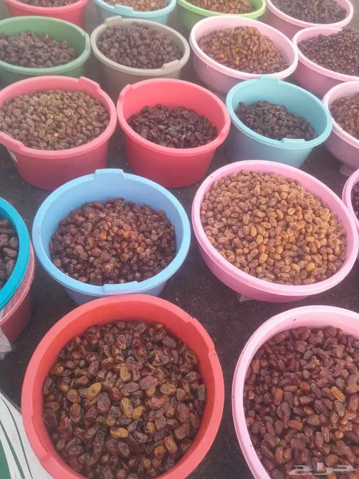 تمور حائل الفاخره 8